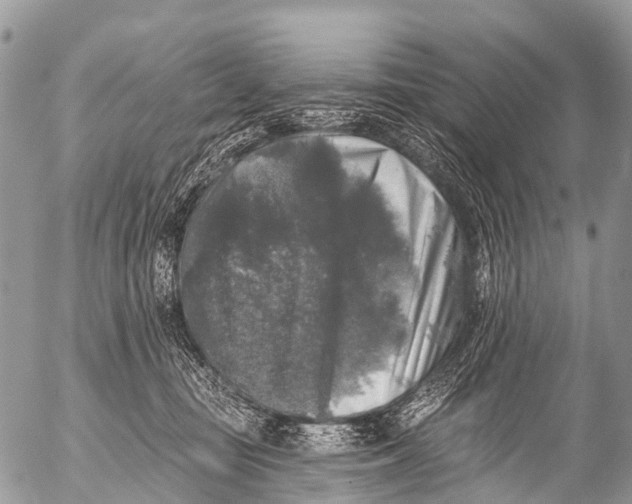 X0000053100371200508081342