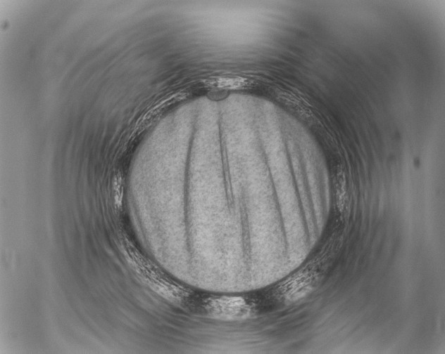 X0000053100374200508081342