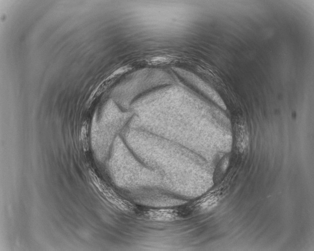 X0000053100378200508081342