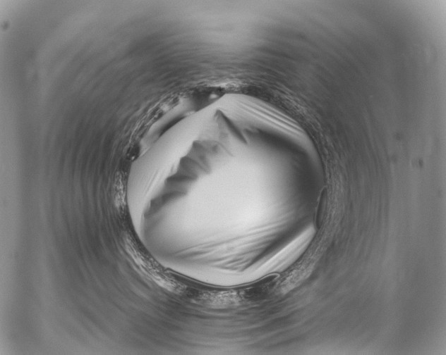 X0000053100384200508081343