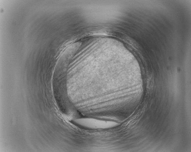 X0000053100385200508081342