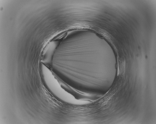 X0000053100387200508081342