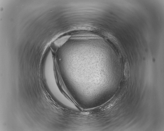 X0000053100388200508081342