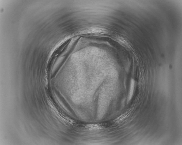X0000053100392200508081342