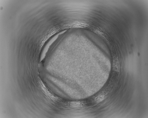 X0000053100394200508081342