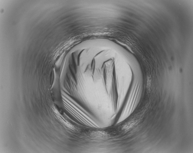 X0000053100397200508081342