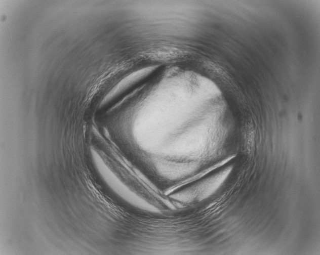 X0000053100404200508081341