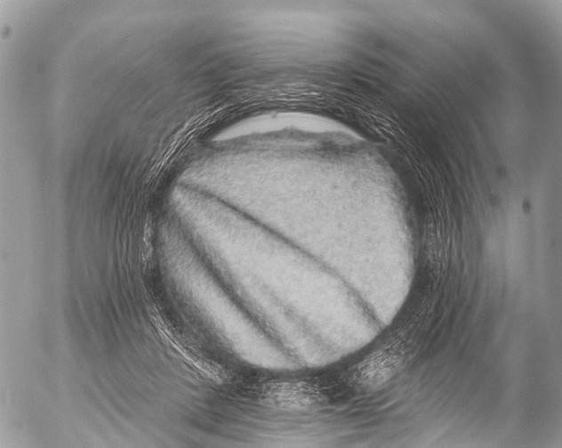 X0000053100408200508081341