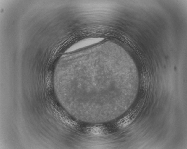 X0000053100412200508081341