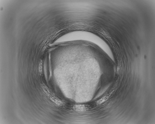 X0000053100413200508081341