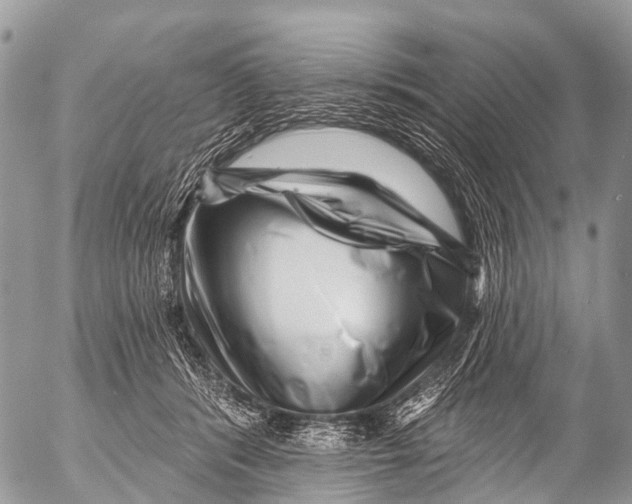 X0000053100416200508081341
