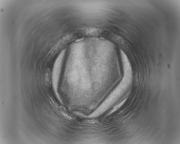 X0000053100424200508081341