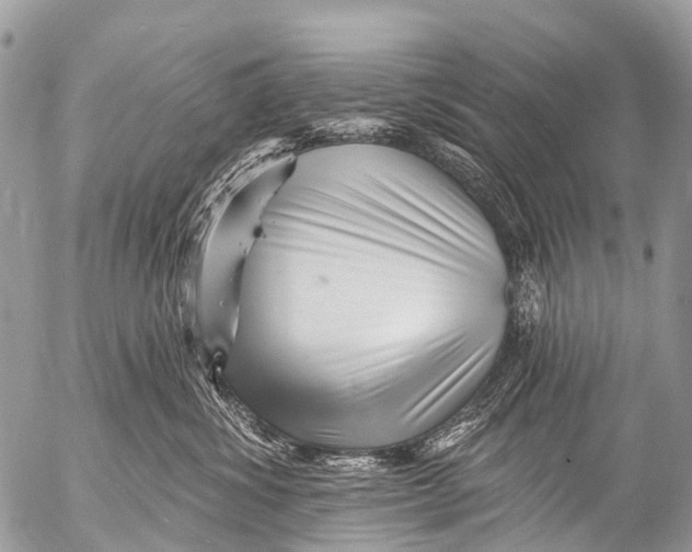 X0000053100428200508081341