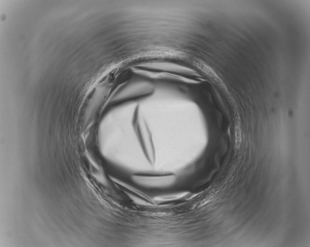 X0000053100436200508081340