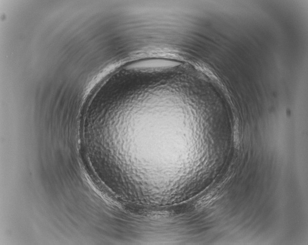 X0000053100438200508081340