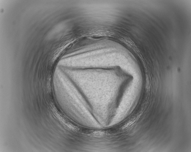 X0000053100441200508081340
