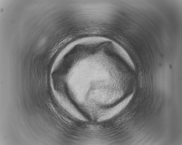 X0000053100442200508081340