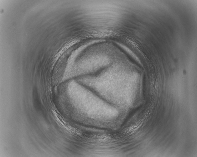 X0000053100443200508081340
