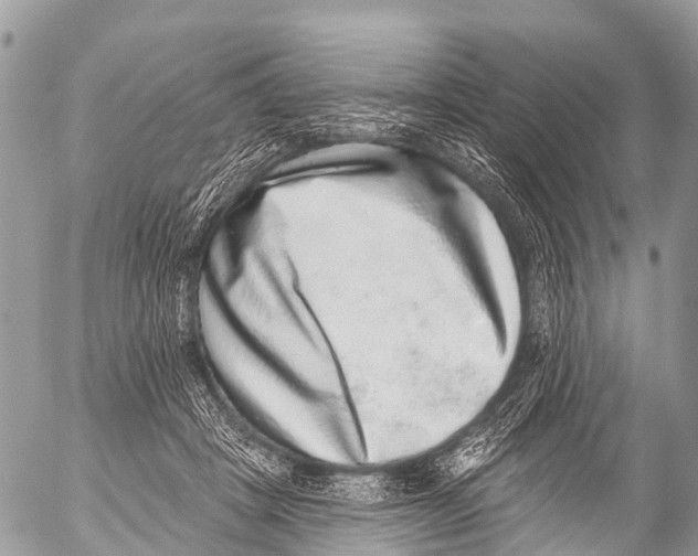 X0000053100457200508081341