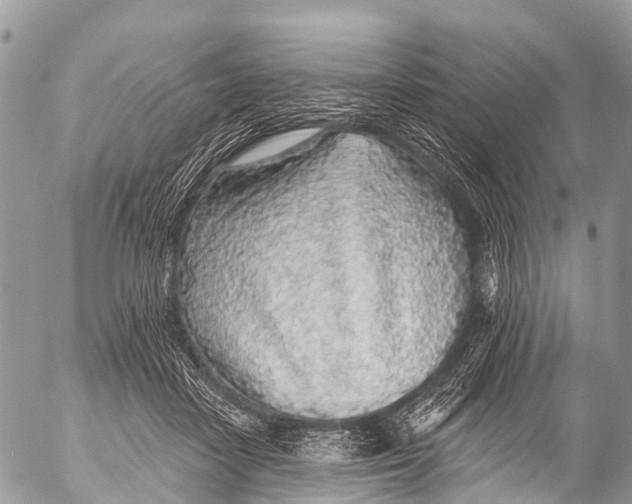 X0000053100458200508081341