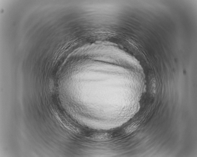 X0000053100459200508081341