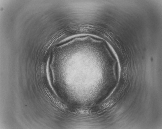 X0000053100466200508081341