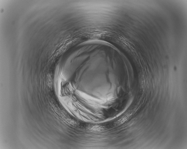 X0000053100467200508081341