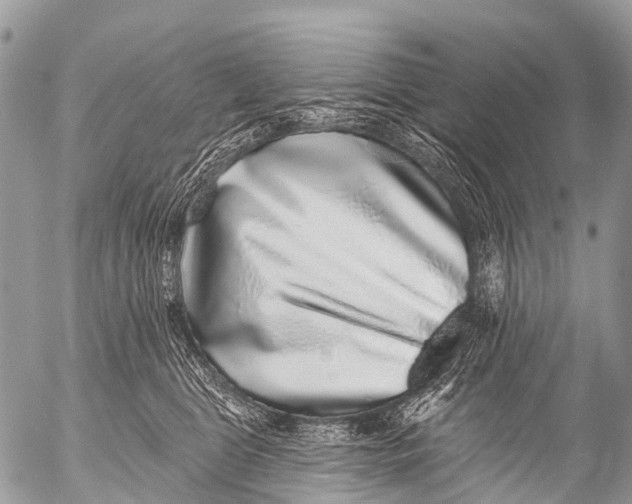 X0000053100469200508081341