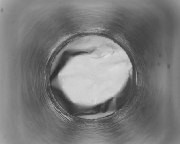 X0000053100483200508081340