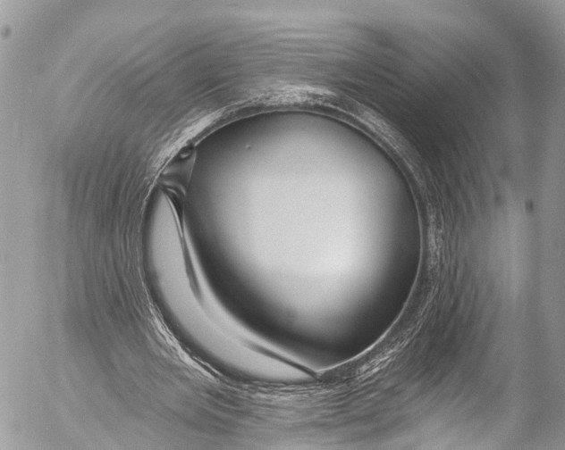 X0000053100485200508081340