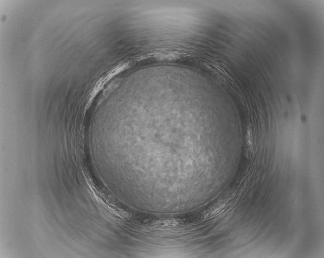 X0000053100492200508081340