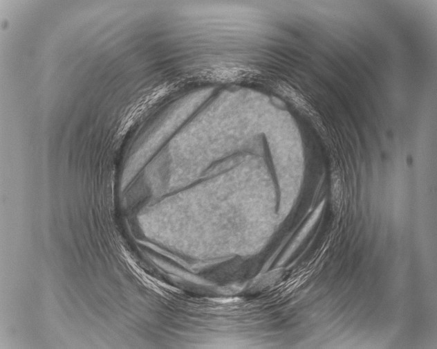 X0000053100493200508081340