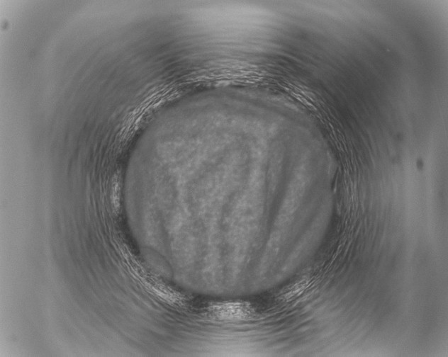 X0000053100499200508081340