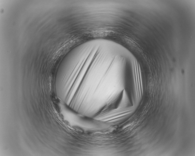 X0000053100501200508081340