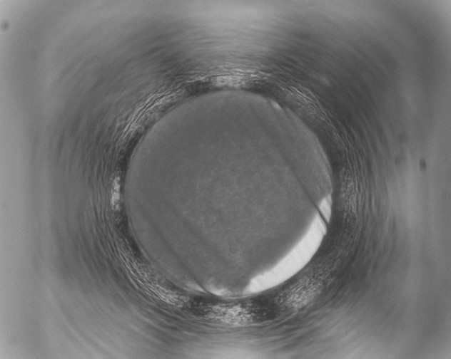 X0000053100502200508081340