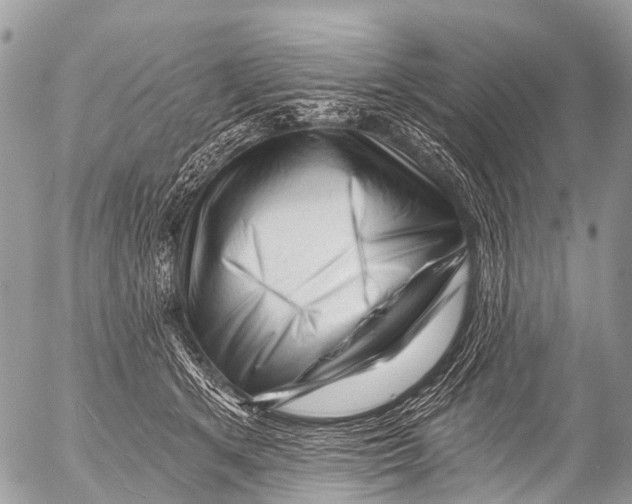 X0000053100513200508081340