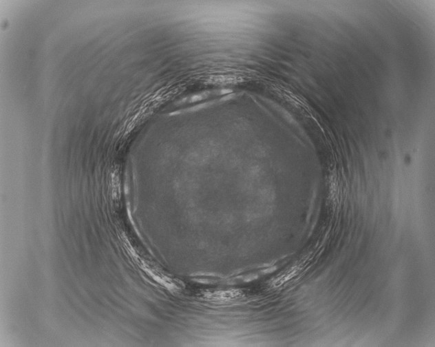 X0000053100517200508081340
