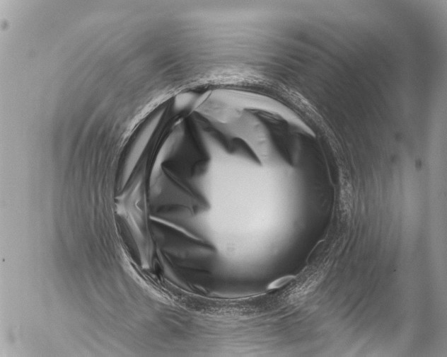 X0000053100530200508081339