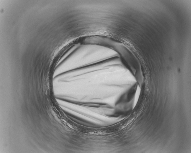 X0000053100532200508081339