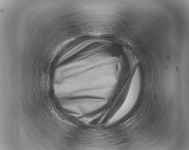 X0000053100540200508081339