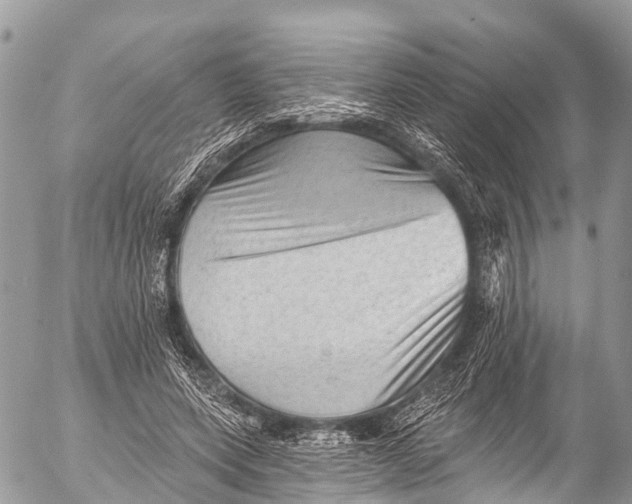 X0000053100543200508081339