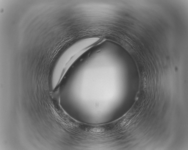 X0000053100546200508081339