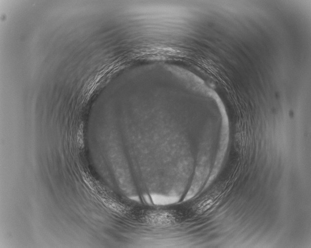 X0000053100547200508081339