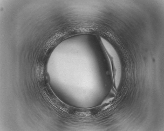 X0000053100548200508081339