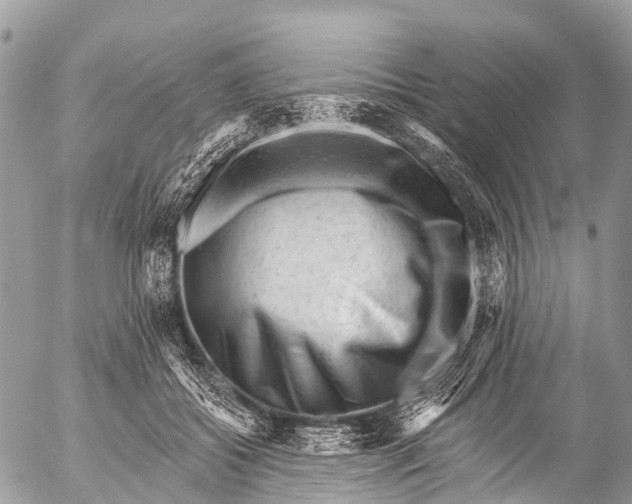 X0000053100556200508081339