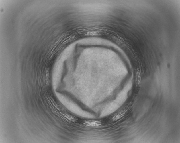 X0000053100557200508081339