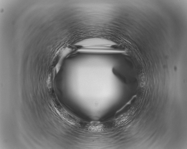 X0000053100560200508081339