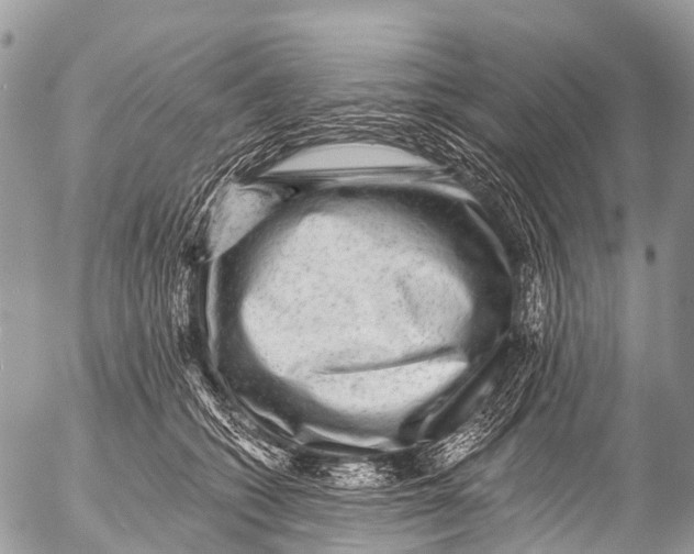 X0000053100562200508081339