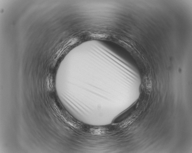 X0000053100564200508081339