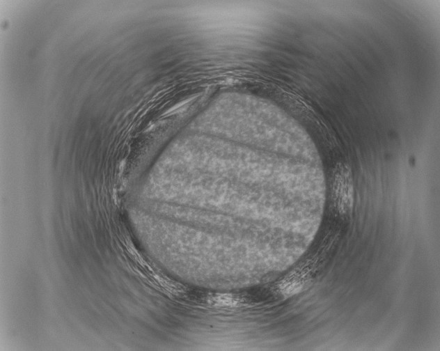 X0000053100565200508081339